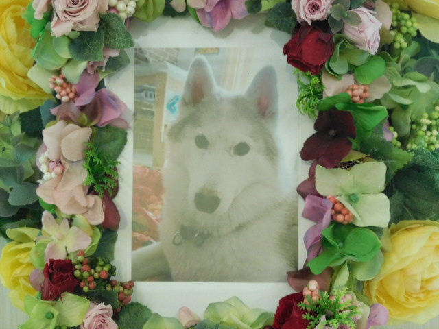 茨城町の愛犬なつちゃん ペット霊園 葬祭 火葬 茨城県水戸市 水戸ペットセレモニー