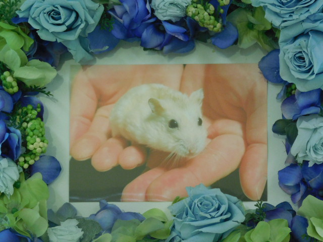 DSCN0107.JPG