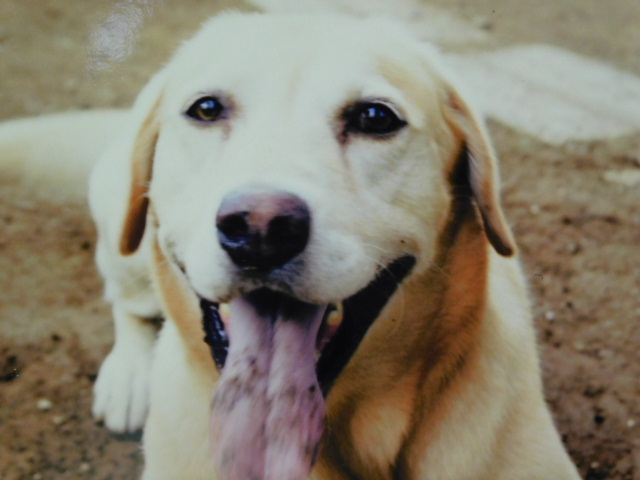 DSCN0109.JPG