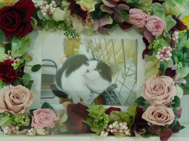 DSCN0113.JPG