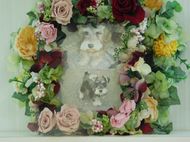 DSCN0118.JPG