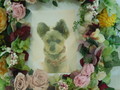 日立市愛犬COCOちゃん