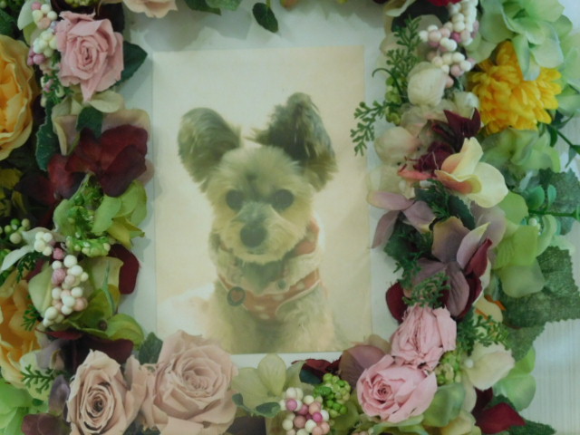 DSCN0122.JPG