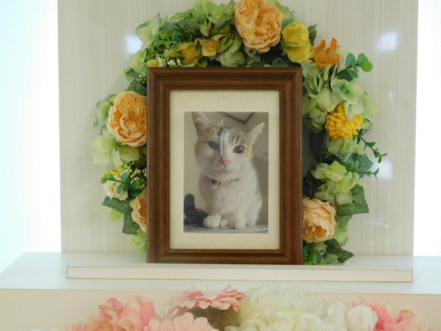 DSCN0127.JPG
