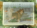 常陸太田市愛犬花ちゃん