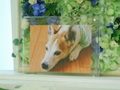 水戸市愛犬リッキーちゃん