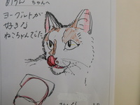 城里町愛猫メロンちゃん