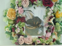 日立市の愛犬チョコちゃん