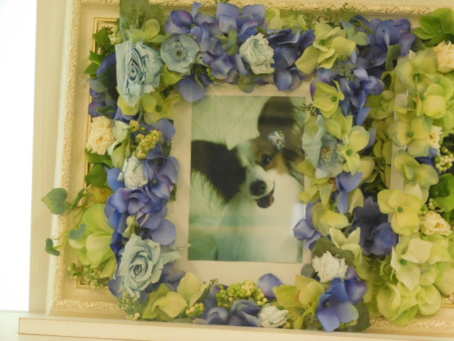 DSCN0283.JPG