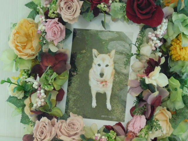 DSCN0300.JPG