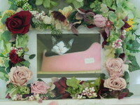 水戸市愛猫チャメちゃん