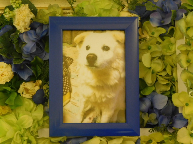 DSCN0322.JPG