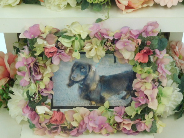 DSCN0325.JPG