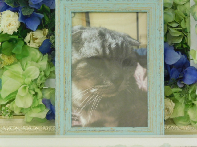 DSCN0339.JPG