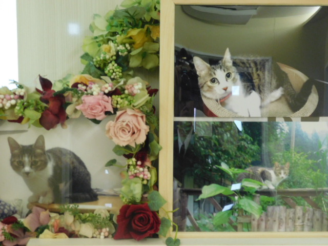 DSCN0343.JPG