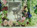 常陸大宮市愛犬勇気ちゃん