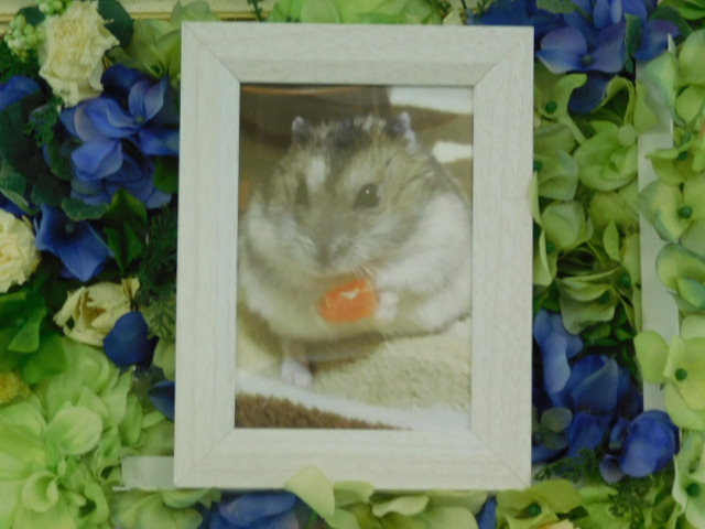 DSCN0376.JPG