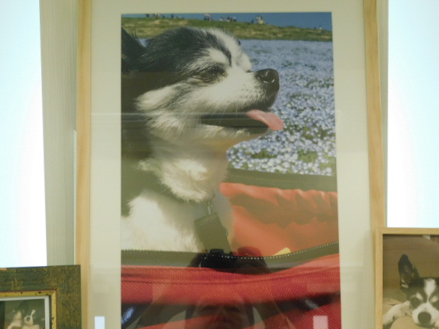 DSCN0487.JPG