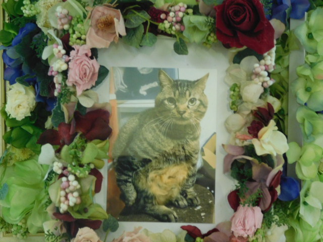 DSCN0492.JPG