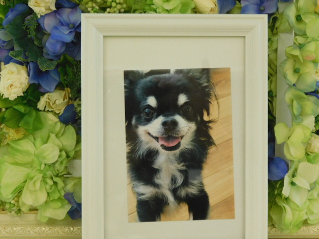 DSCN0493.JPG