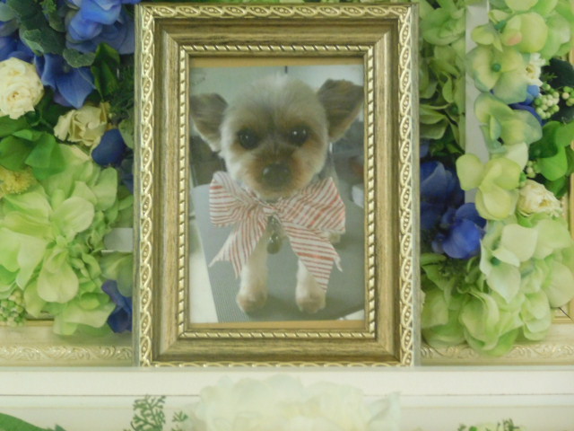 DSCN0506.JPG