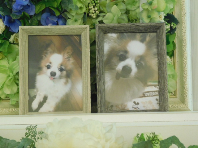 DSCN0508.JPG