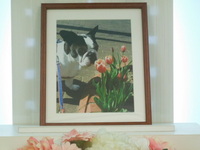 ひたちなか市愛犬ジダンちゃん