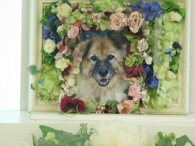 DSCN0513.JPG