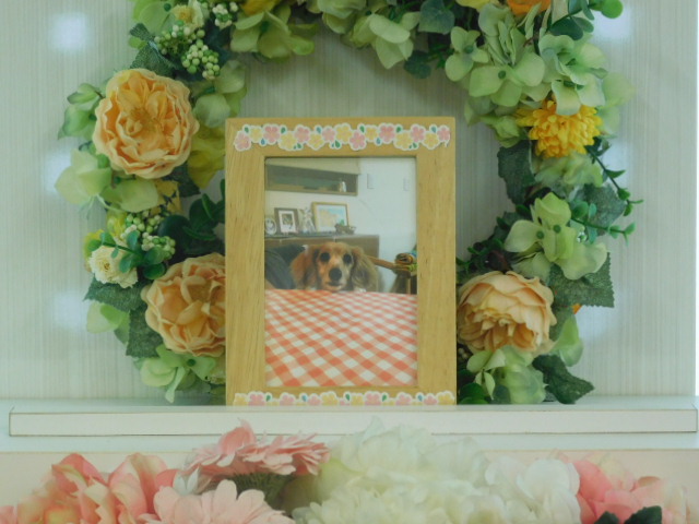 DSCN0530.JPG