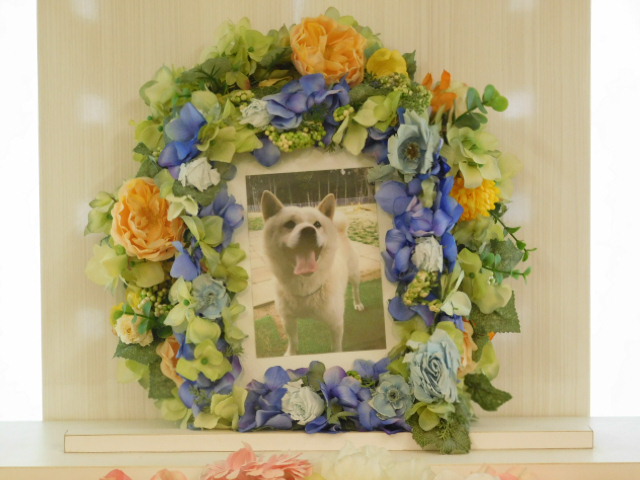 DSCN0533.JPG