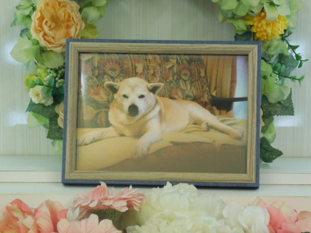 DSCN0536.JPG