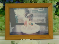 大子町愛犬姫ちゃん