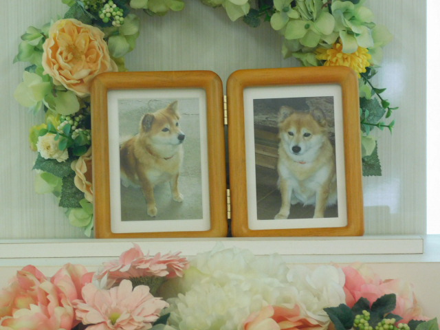 DSCN0540.JPG