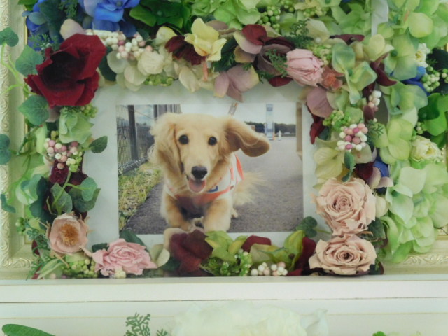 DSCN0555.JPG