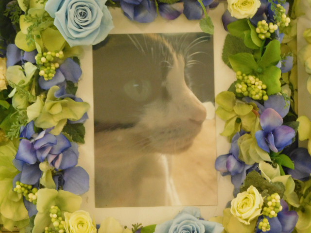 DSCN0604.JPG