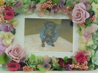 笠間市愛犬ムサシちゃん