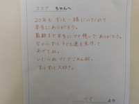 愛犬ココアちゃん