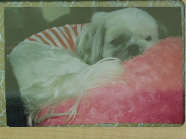 DSCN0646.JPG