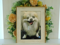 茨城町愛犬チュラちゃん