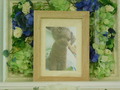 那珂市愛犬プーちゃん