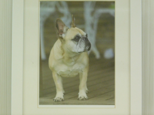 DSCN0678.JPG
