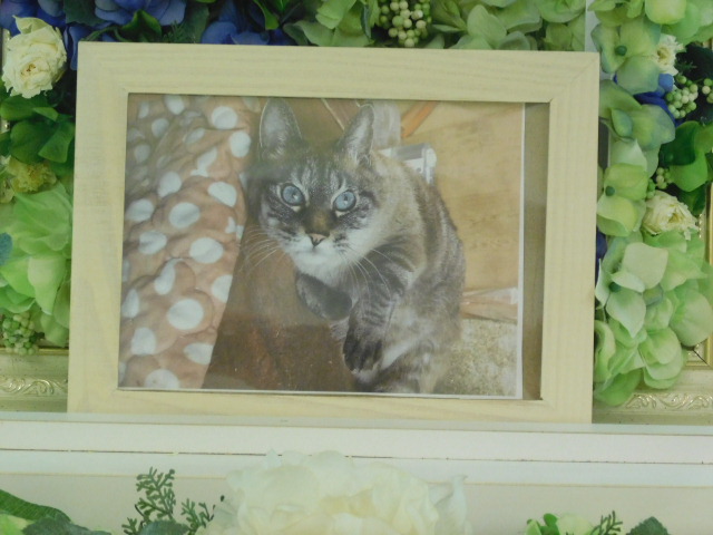 DSCN0686.JPG