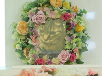 ひたちなか市愛猫チビちゃん