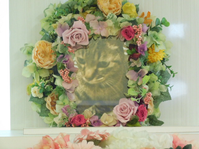 DSCN0719.JPG