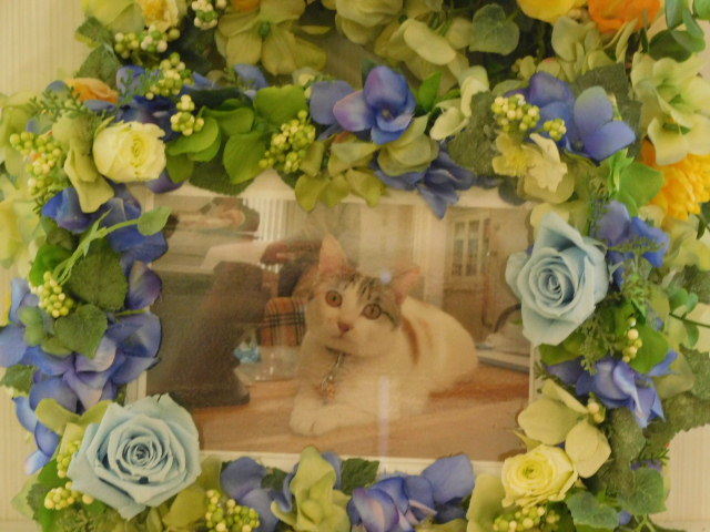 DSCN0805.JPG