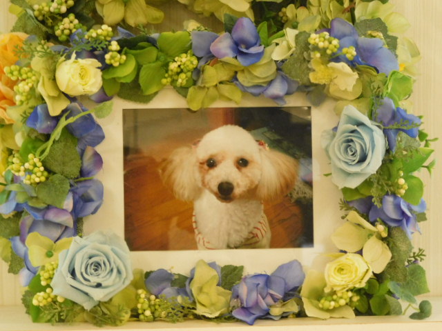 DSCN0820.JPG