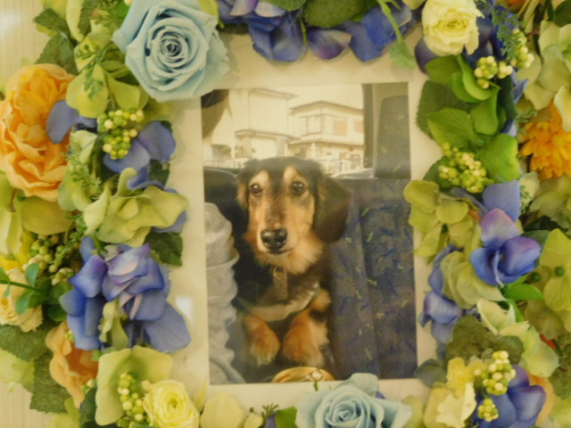 DSCN0824.JPG