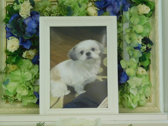 DSCN0830.JPG