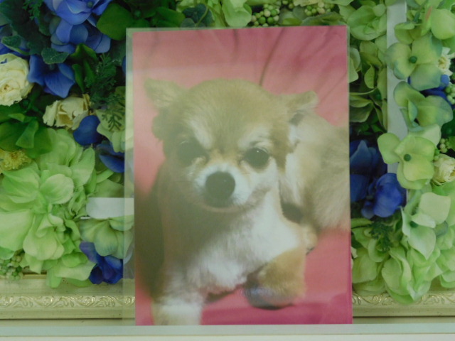 DSCN0855.JPG