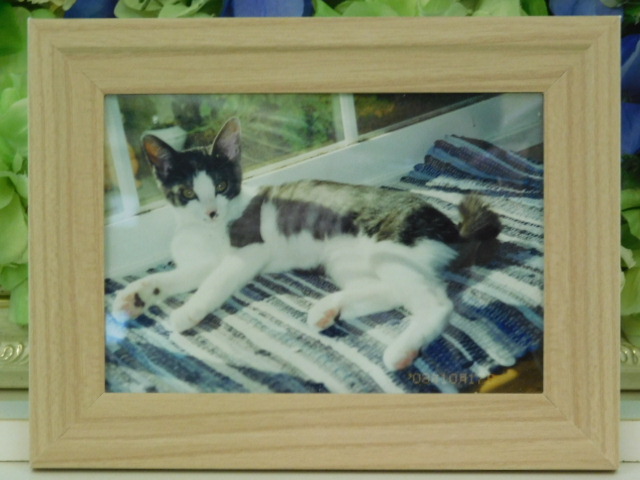 DSCN0866.JPG